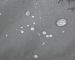 Water droplets beading on LEAPY DWR coated waterproof membrane fabric surface for workwear protection.